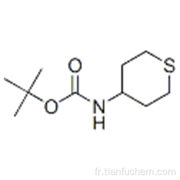 Acide carbamique, (57190544, ester de tétrahydro-2H-thiopyranne-4-yl) -, 1,1-diméthyléthyle (9CI) CAS 595597-00-5
